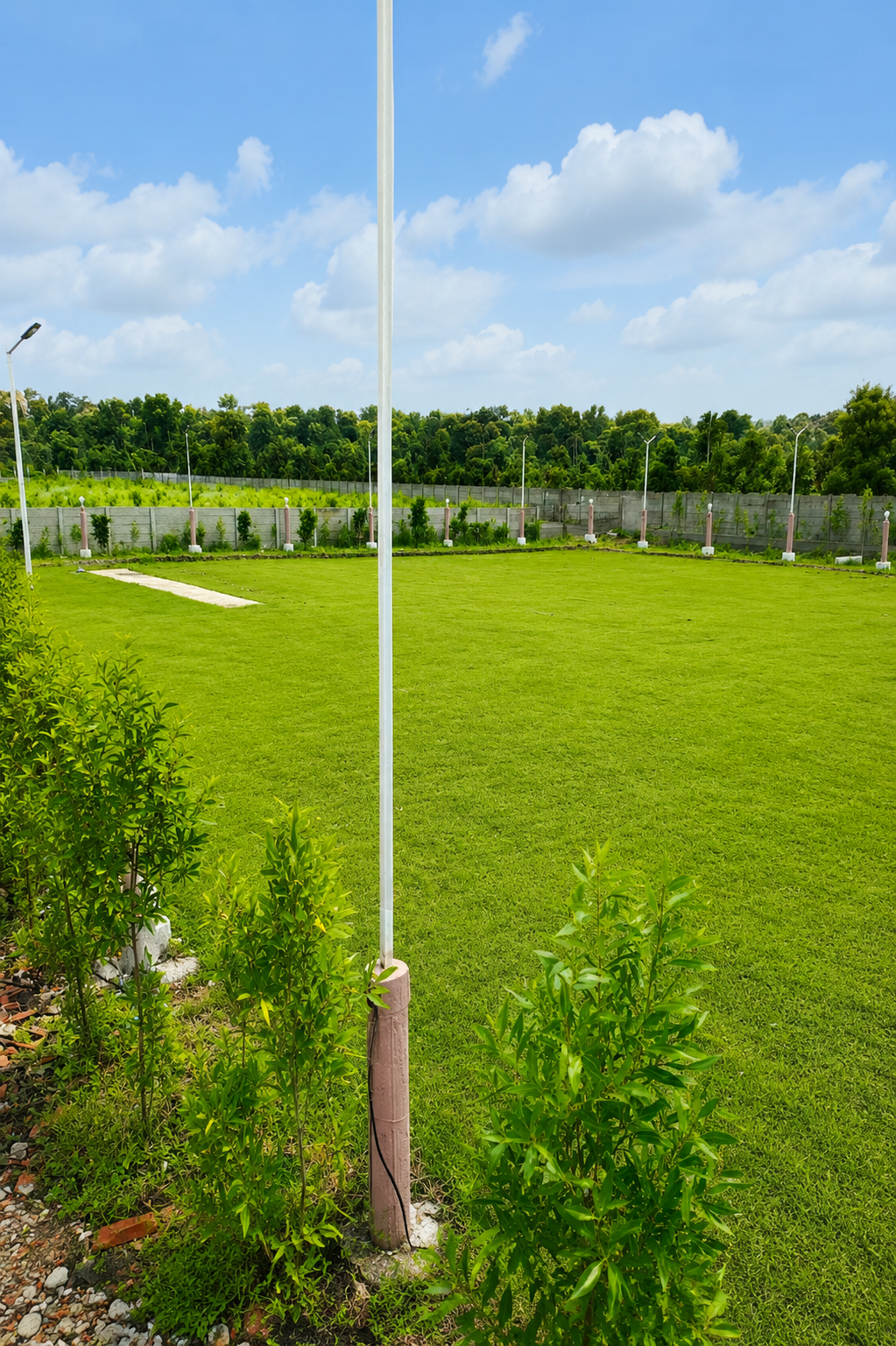 Open Lawns